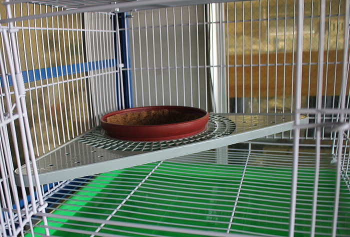 8ペアゲージⅡ(中国製) 59,000円 間に餌入れが入り便利 - 画像 (3)
