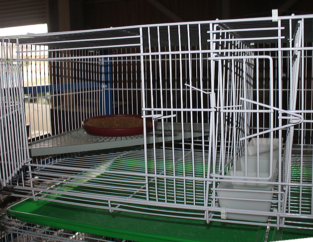 8ペアゲージⅡ(中国製) 59,000円 間に餌入れが入り便利 - 画像 (5)