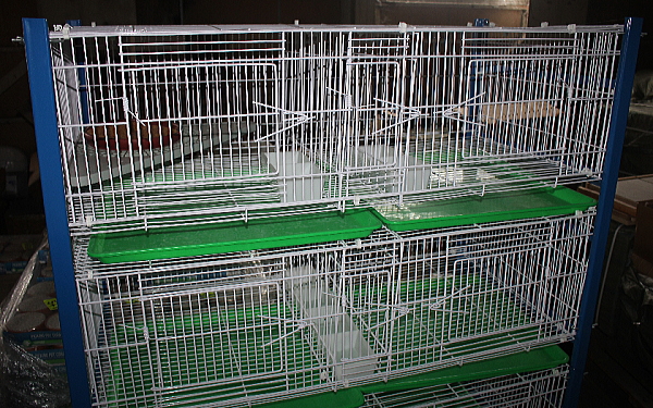 8ペアゲージⅡ(中国製) 59,000円 間に餌入れが入り便利 - 画像 (7)