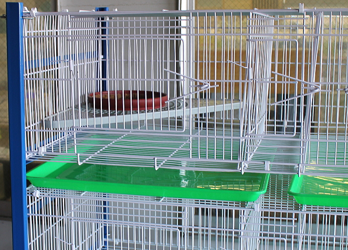 8ペアゲージⅡ(中国製) 59,000円 間に餌入れが入り便利 - 画像 (2)