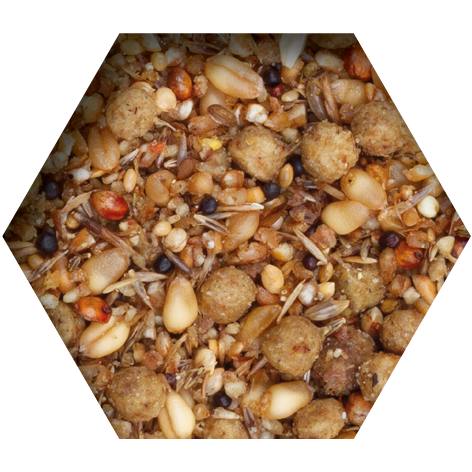 TOVO コンディションフード 2㎏レース前仕上げ用の餌 2,000円 - 画像 (2)