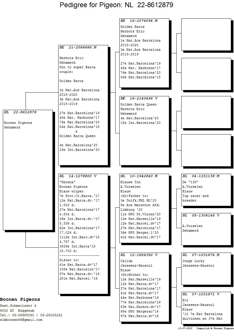 ブーネン NL22-8612879 - 画像 (2)