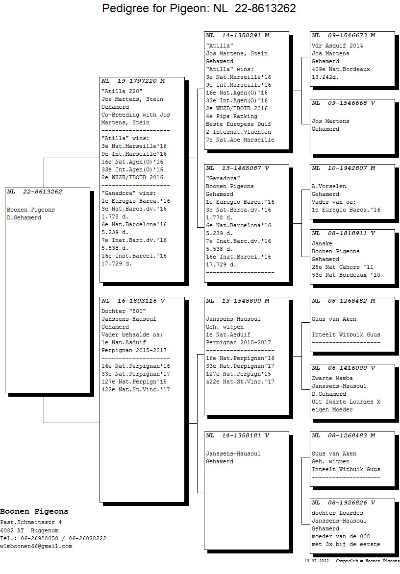 ブーネン NL22-8613262 - 画像 (2)