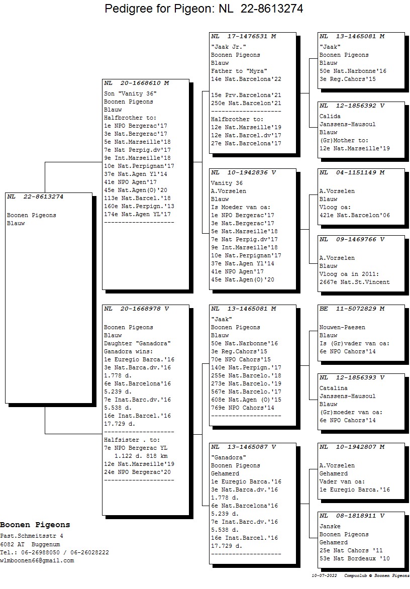 ブーネン NL22-8613274 売切れ - 画像 (2)