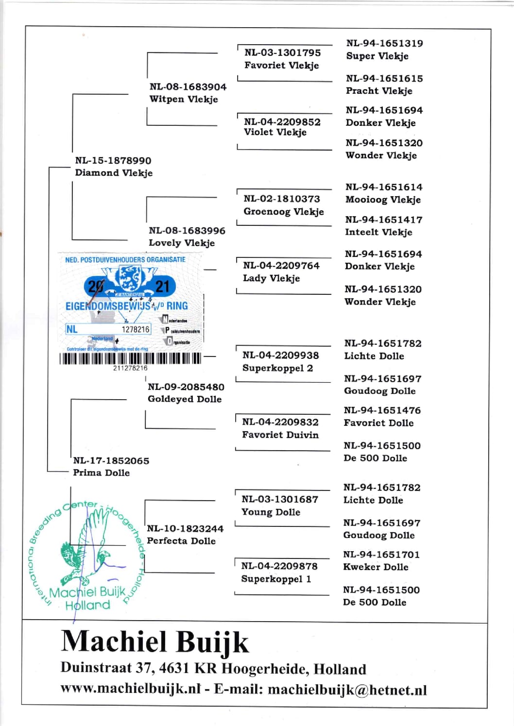 アールデン NL21-1278216 売切れ - 画像 (2)