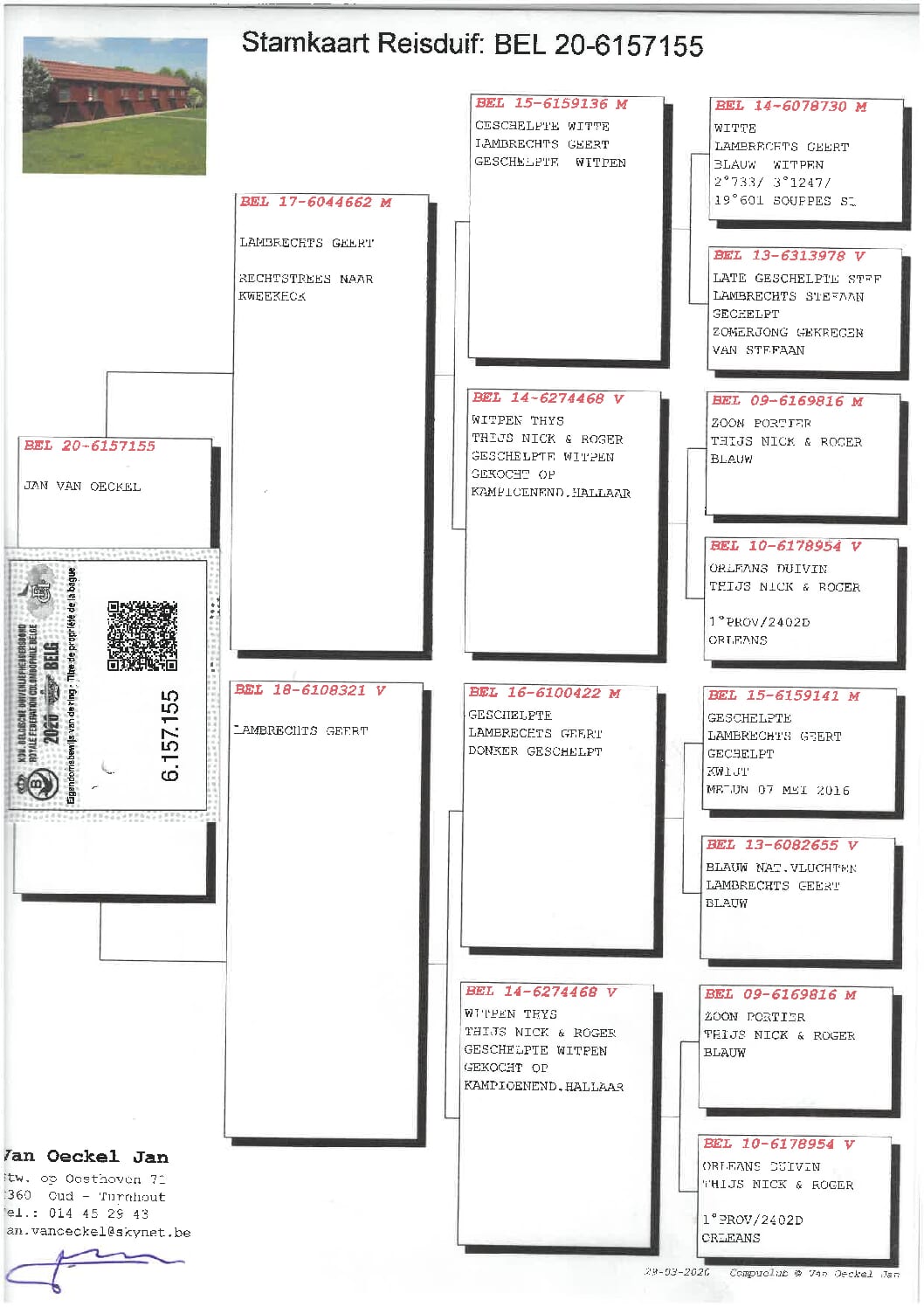 Van Oeckel 20-6157155 売切れ - 画像 (2)