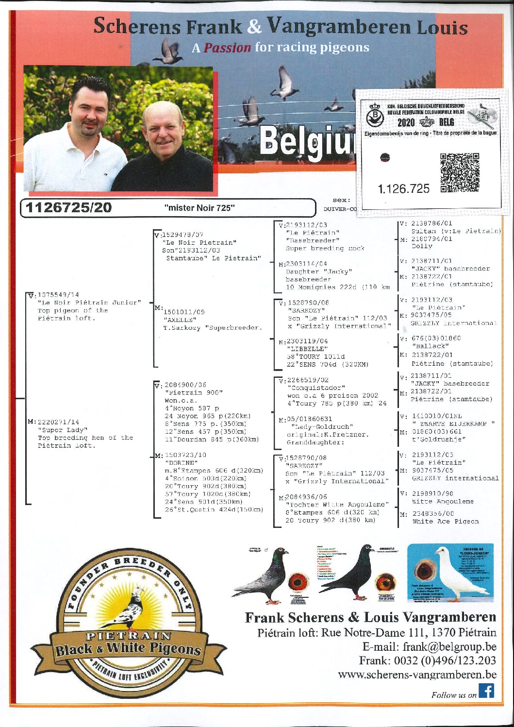 Scherens Van Gramberen 20-1126725 売切れ - 画像 (2)