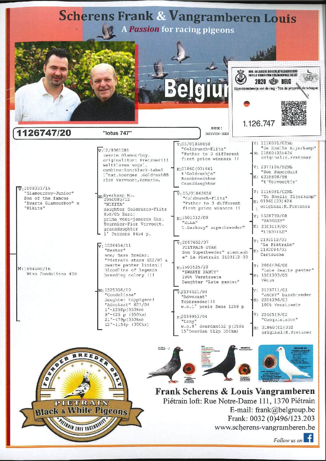 Scherens Van Gramberen 20-1126747 売切れ - 画像 (2)