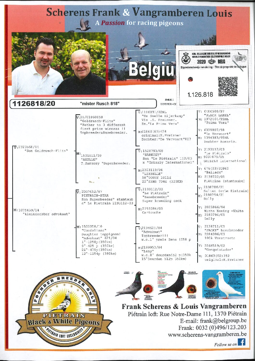 Scherens Van Gramberen 20-1126818 売切れ - 画像 (2)