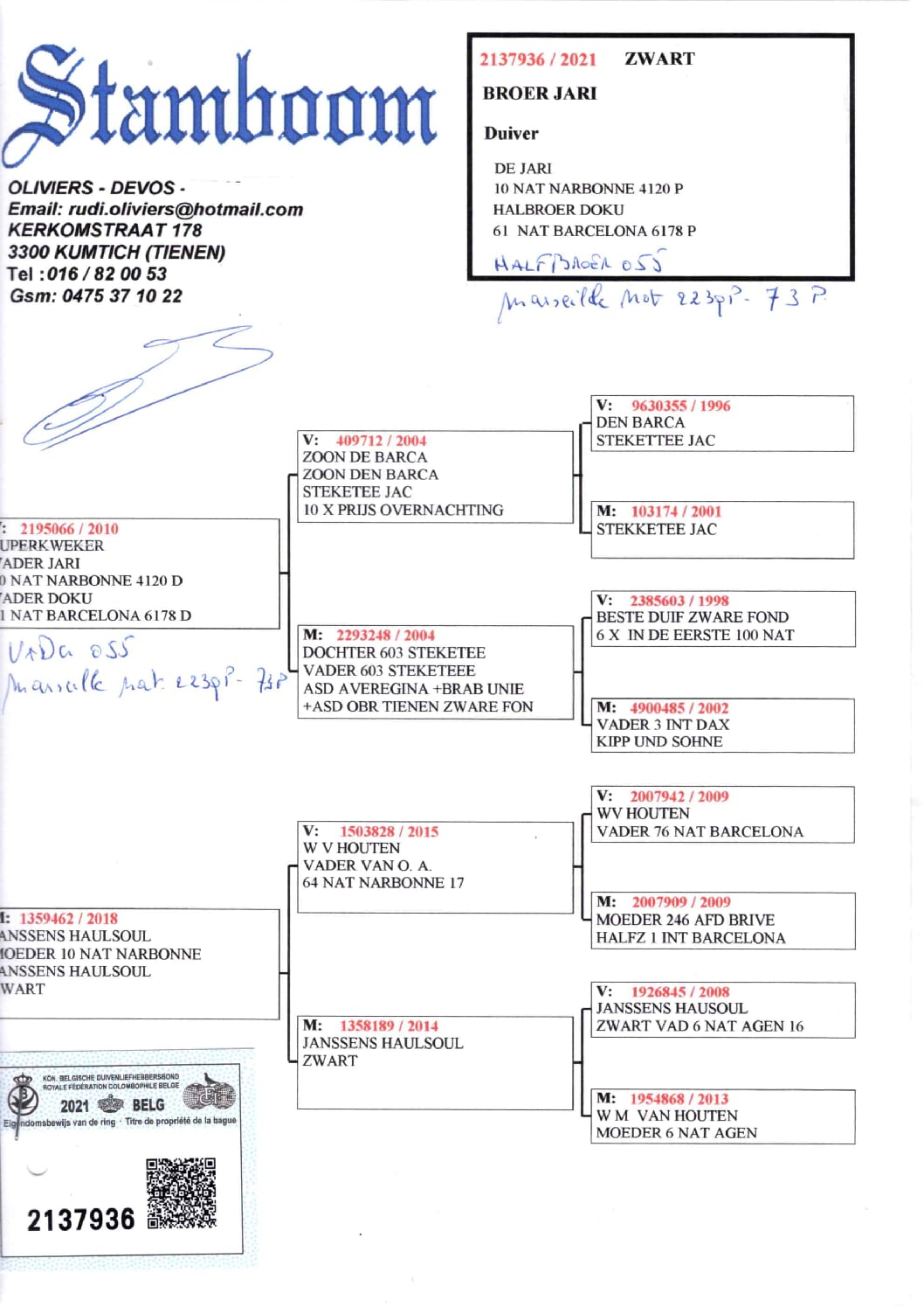 Oliviers Devos 2137936-21 - 画像 (2)