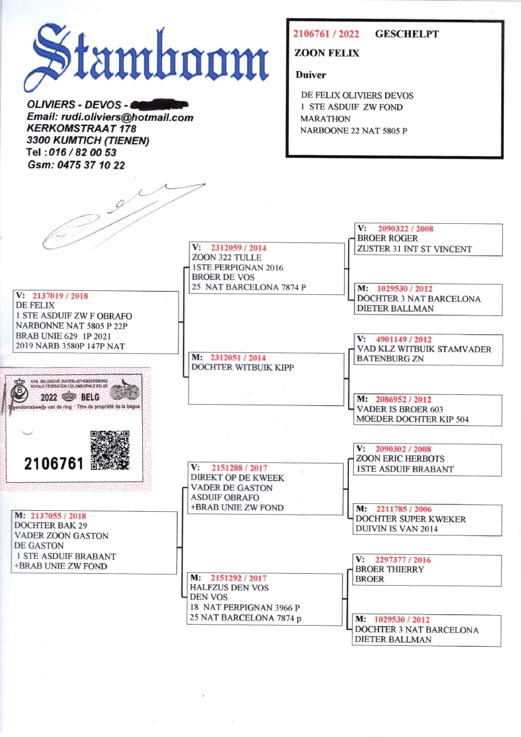 Oliviers Devos 2106761-22 - 画像 (2)