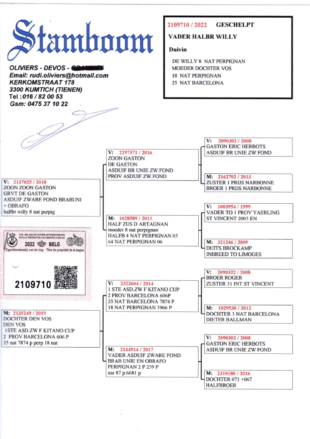 Oliviers Devos 2109710-22 売切れ - 画像 (2)