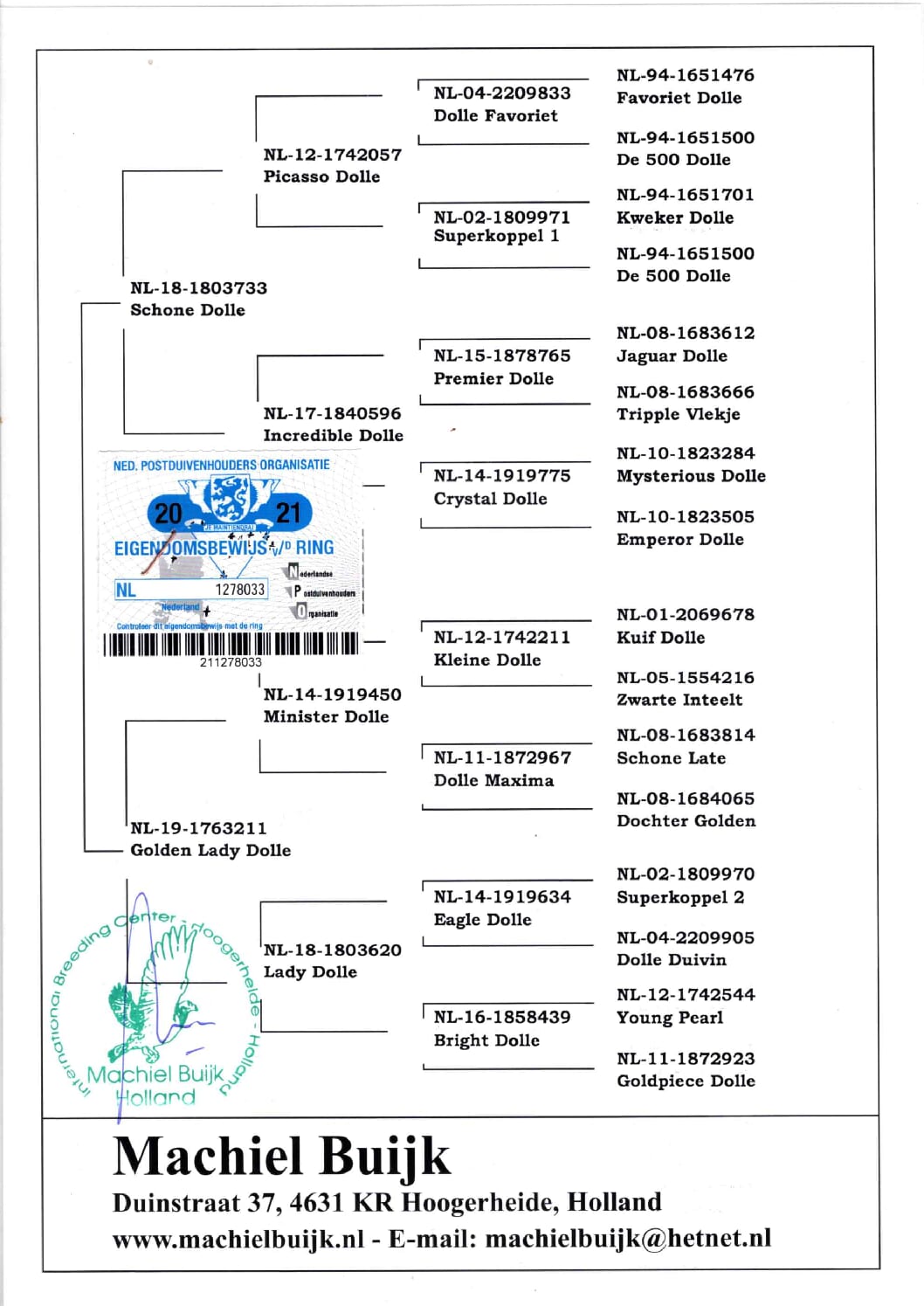 アールデン NL1278033-21 - 画像 (2)