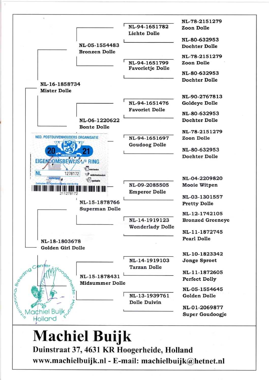 アールデン NL1278172-21 - 画像 (2)