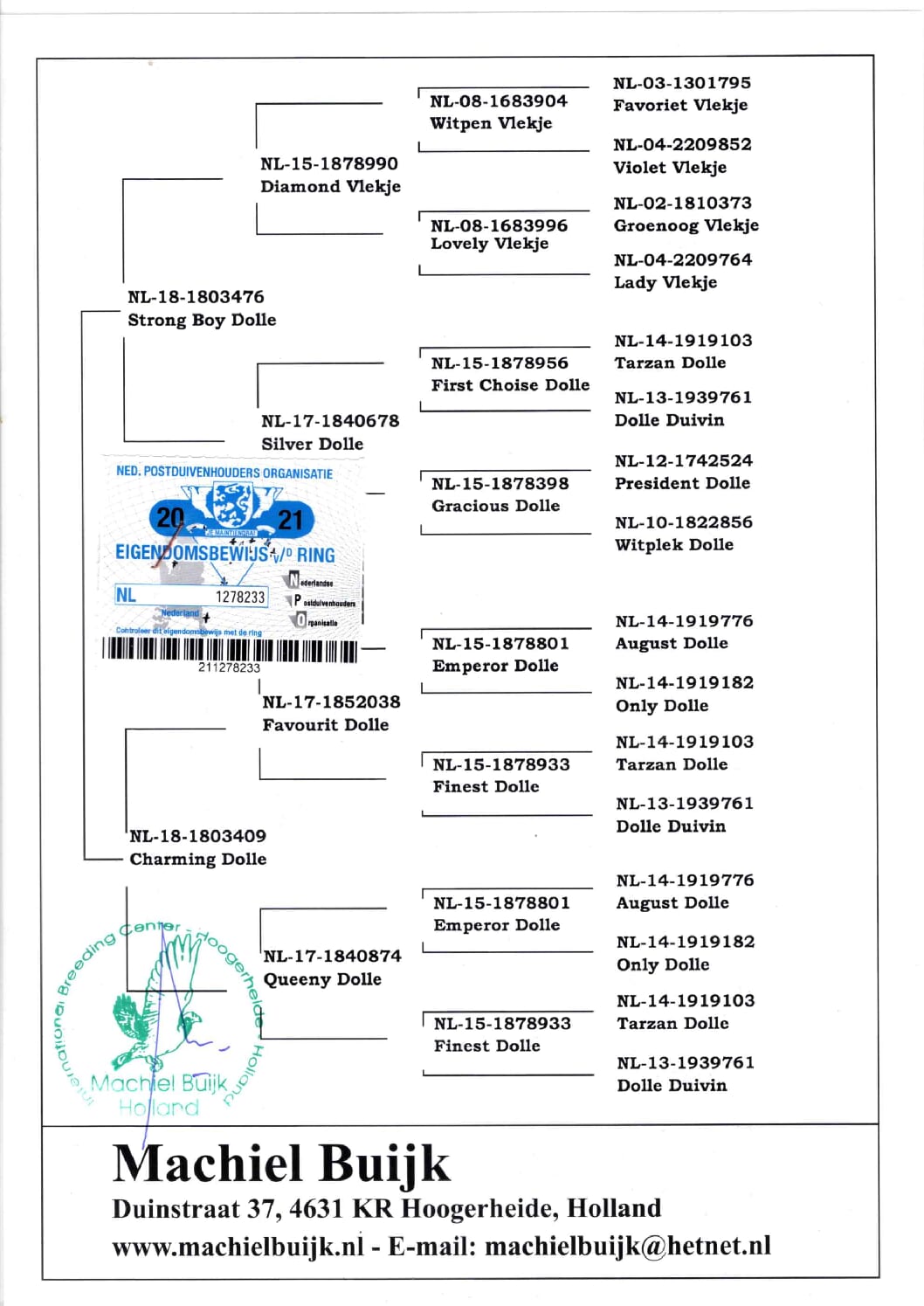 アールデン NL1278233-21 - 画像 (2)