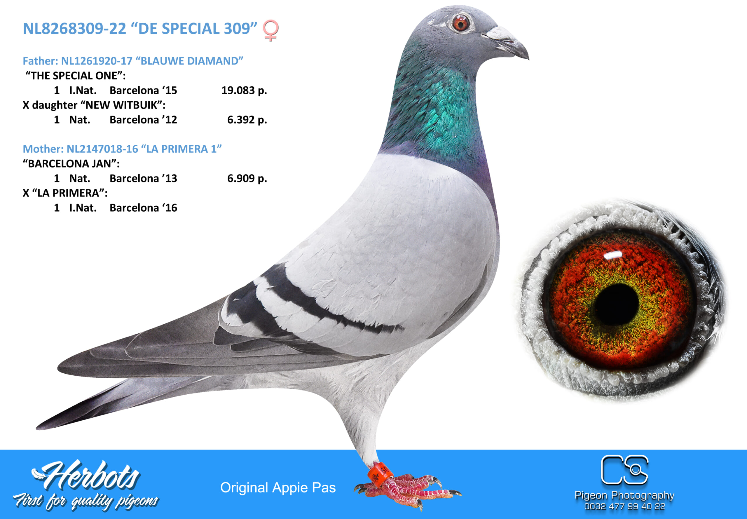 Appie Pas NL22- 8268309売切れ - 画像 (2)