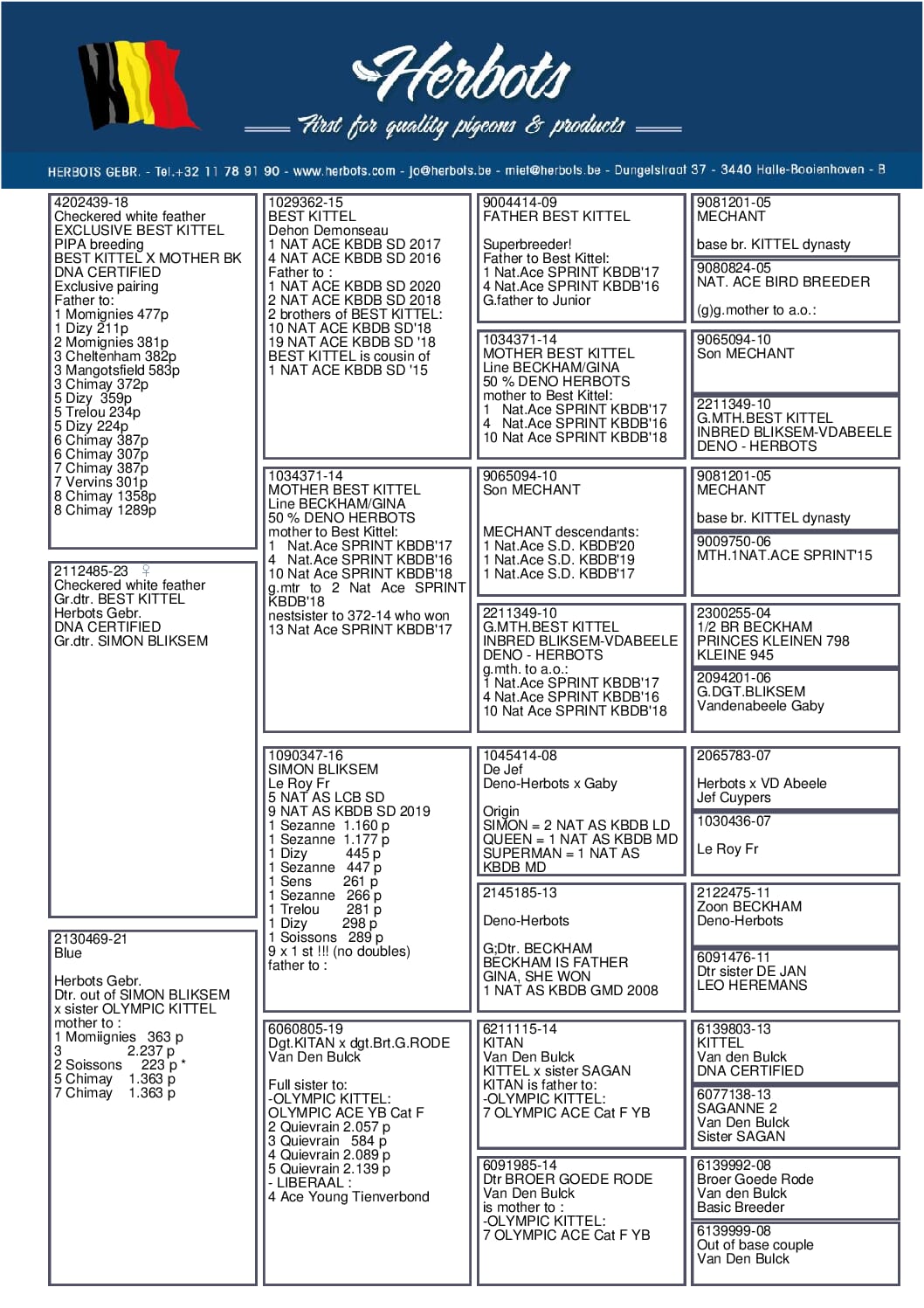BESTKittel 23-2112485 売切れ - 画像 (2)