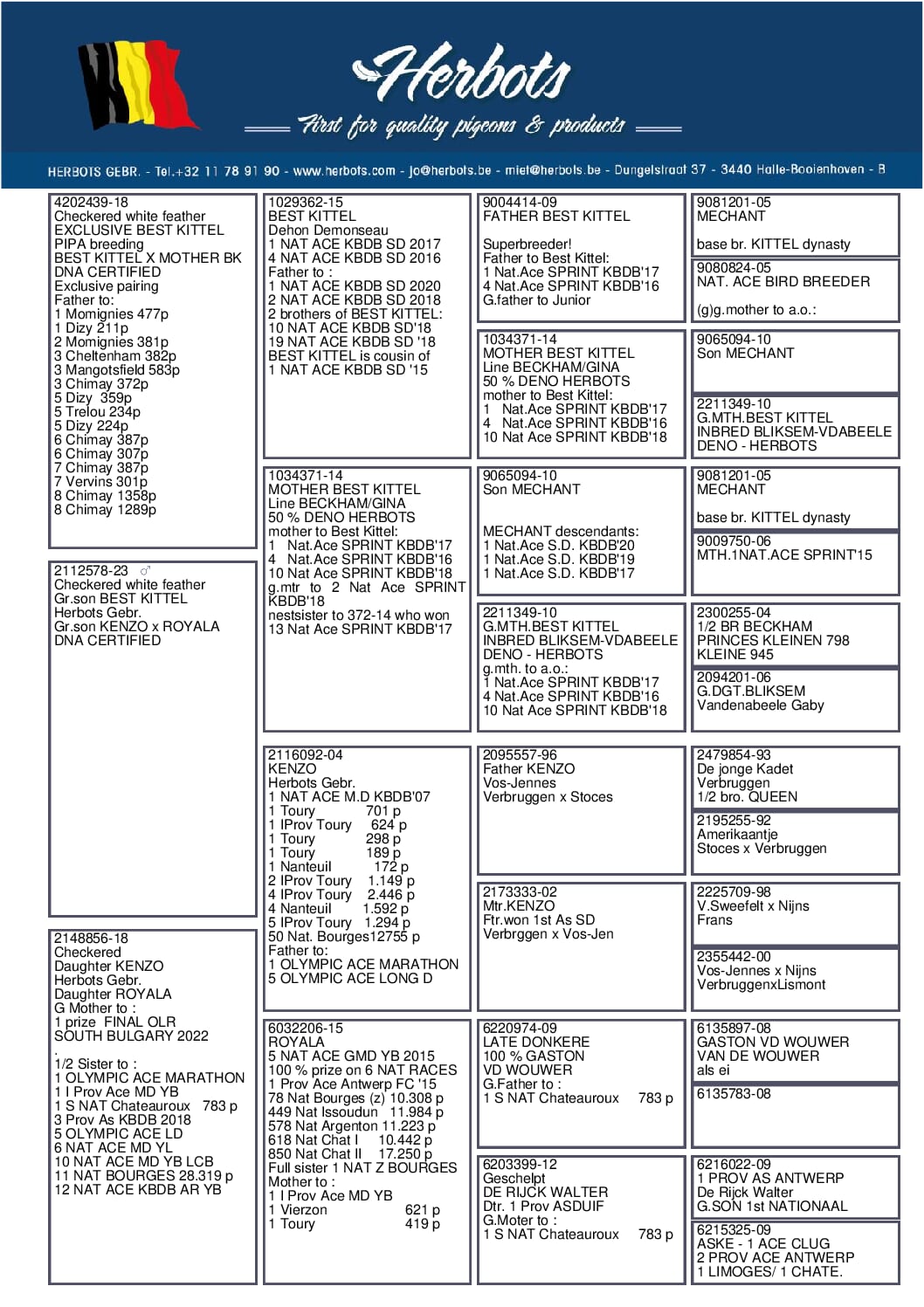 BESTKittel 23-2112578 売切れ - 画像 (2)