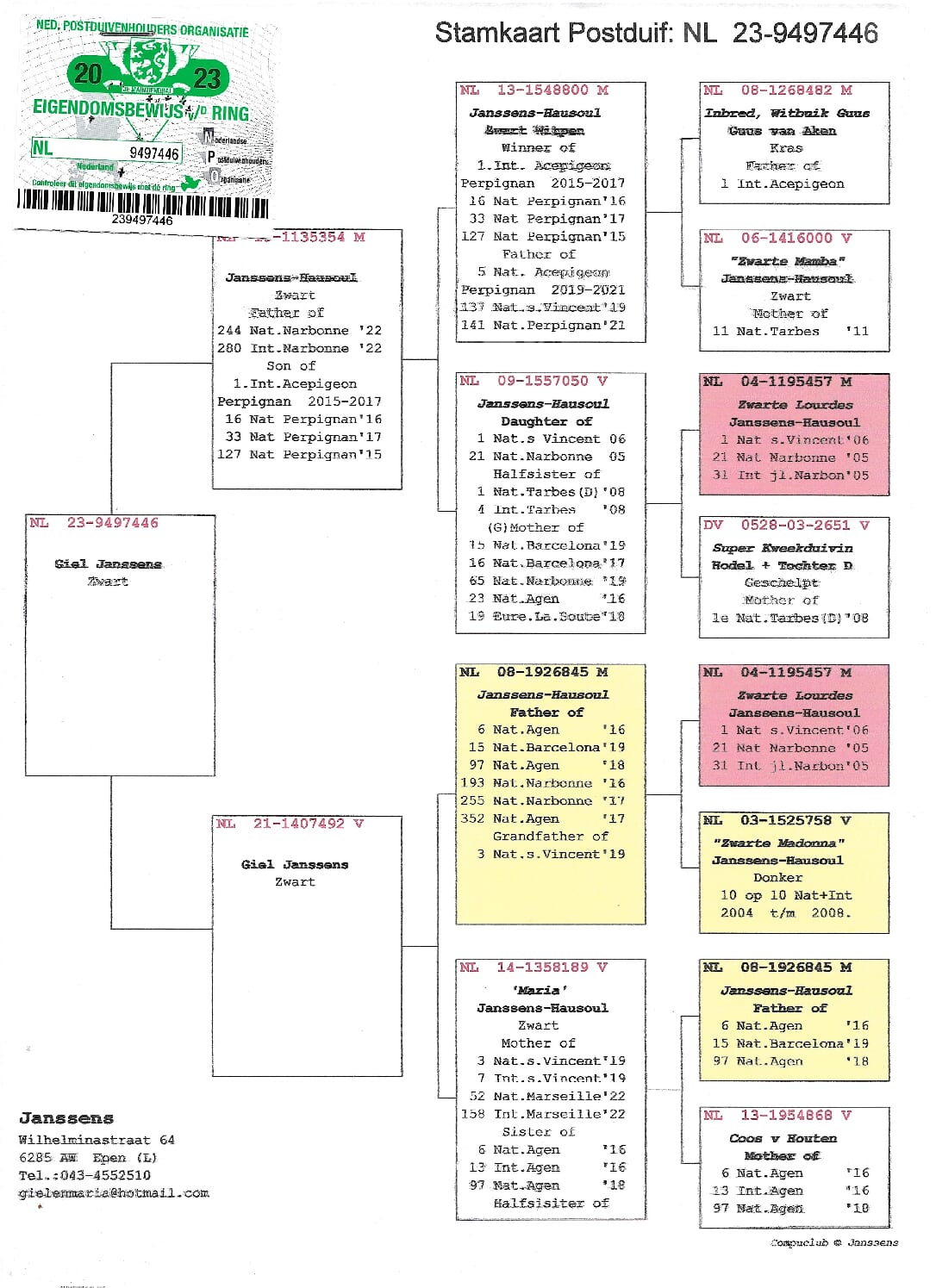 Giel Janssens NL 23-9497446 - 画像 (2)