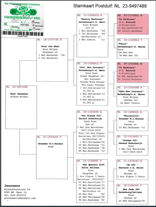 Giel Janssens NL23-9497488 - 画像 (2)