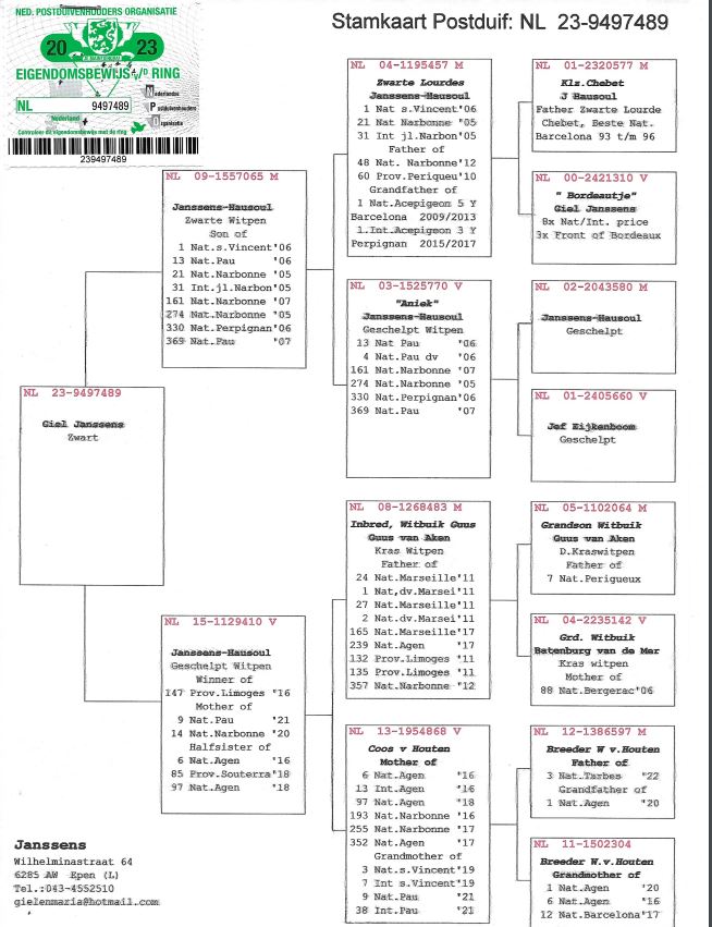 Giel Janssens NL23-9497489 - 画像 (2)