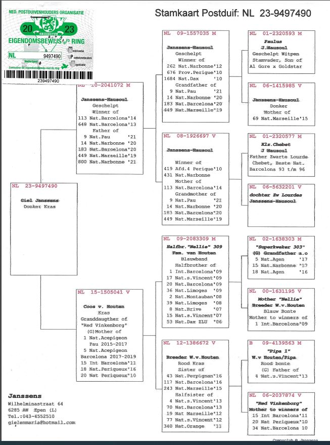 Giel Janssens NL23-9497490 - 画像 (2)