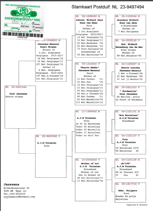 Giel Janssens NL23-9497494 - 画像 (2)