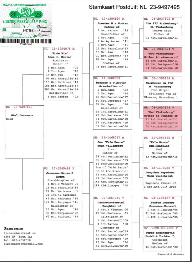 Giel Janssens NL23-9497495 売約 - 画像 (2)