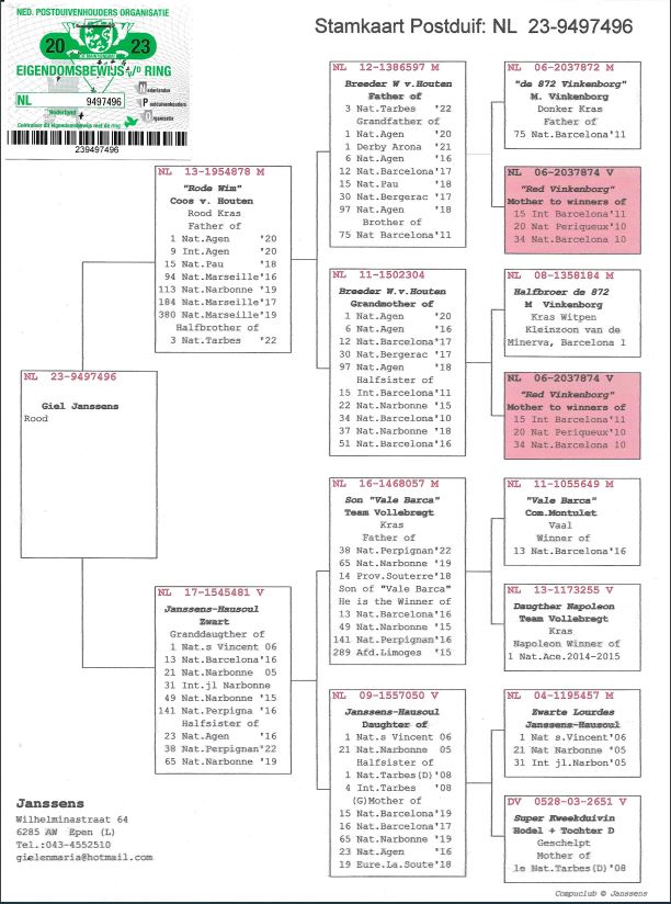 Giel Janssens NL23-9497496 - 画像 (2)