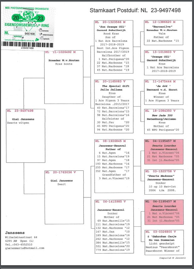 Giel Janssens NL23-9497498 - 画像 (2)