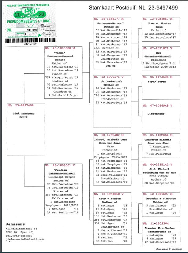 Giel Janssens NL23-9497499 - 画像 (2)