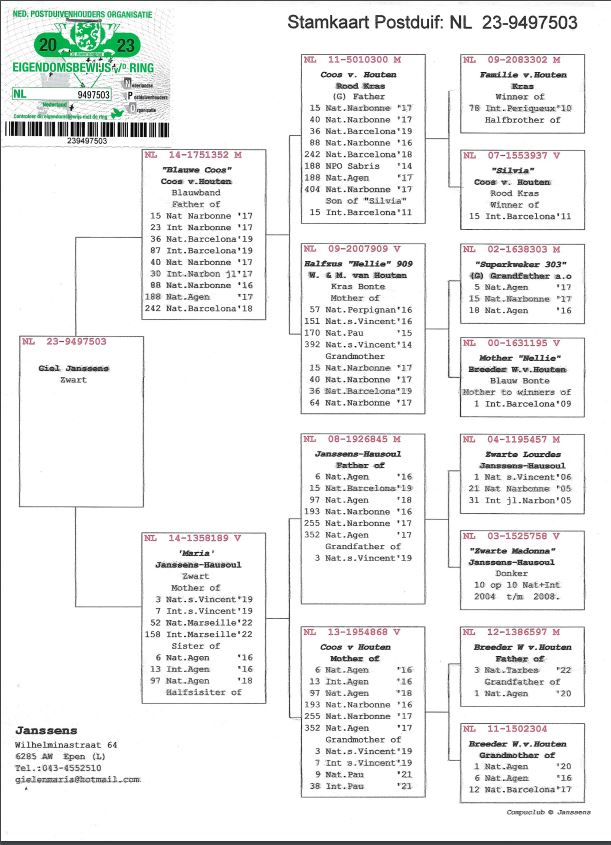 Giel Janssens NL23-9497503 - 画像 (2)