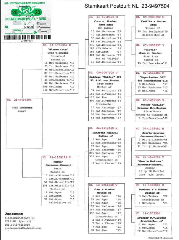Giel Janssens NL23-9497504 - 画像 (2)