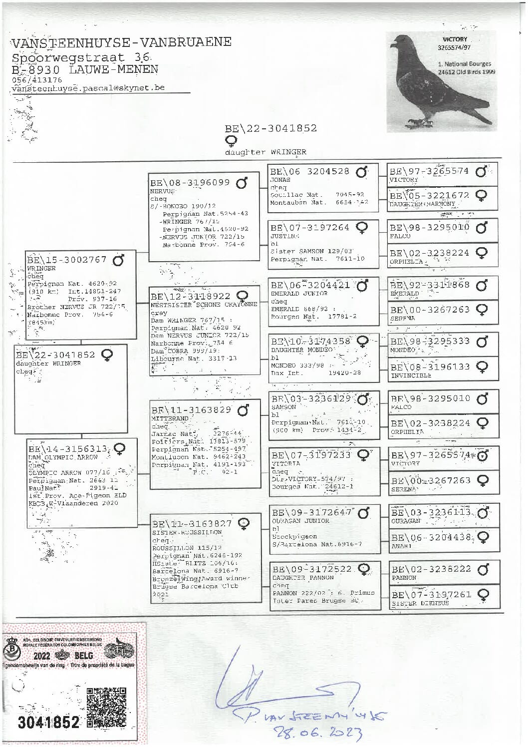 ファンブリアーナ B22-3041852 - 画像 (2)