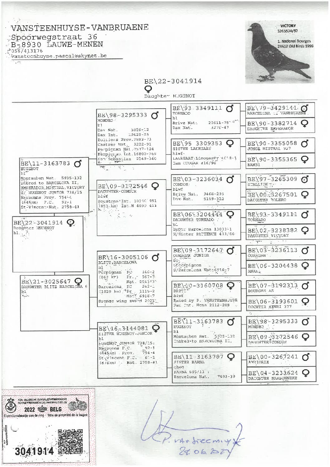ファンブリアーナ B22-3041914 - 画像 (2)