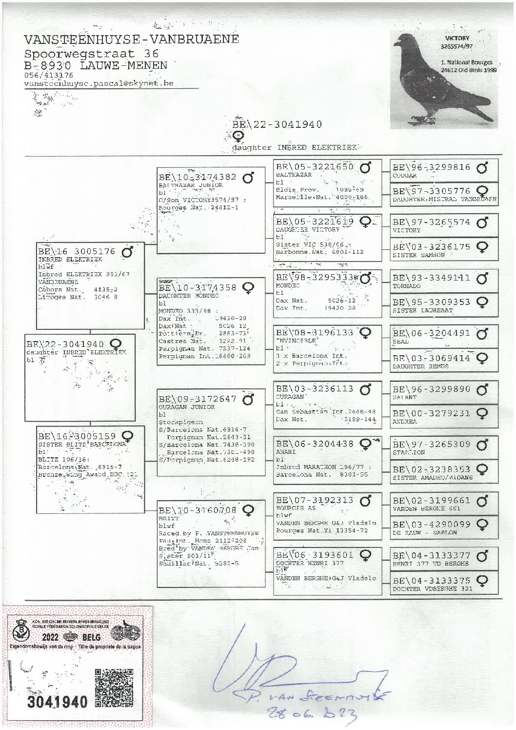 ファンブリアーナ B22-3041940 - 画像 (2)