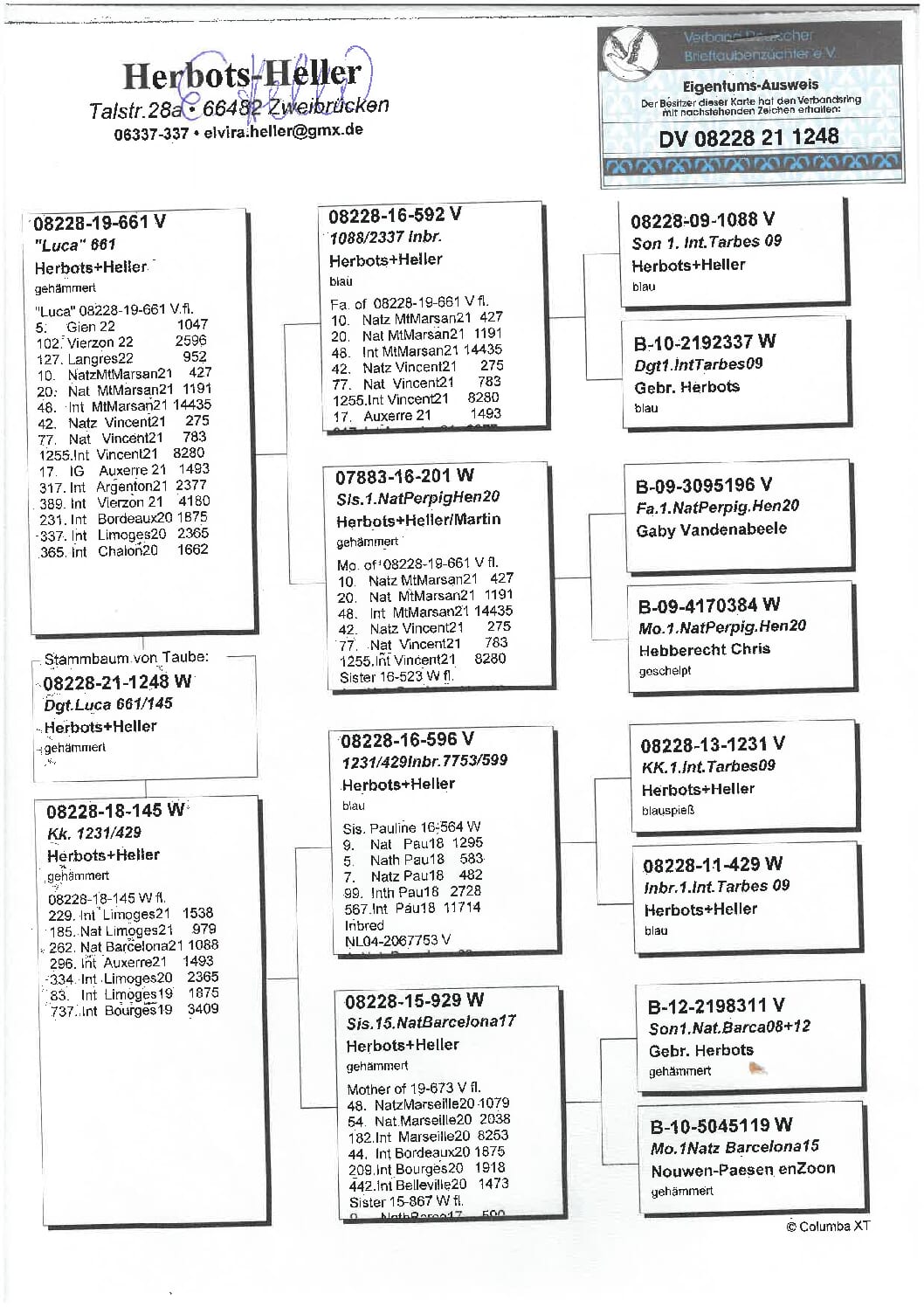 Heller DV08228-21-1248 - 画像 (2)