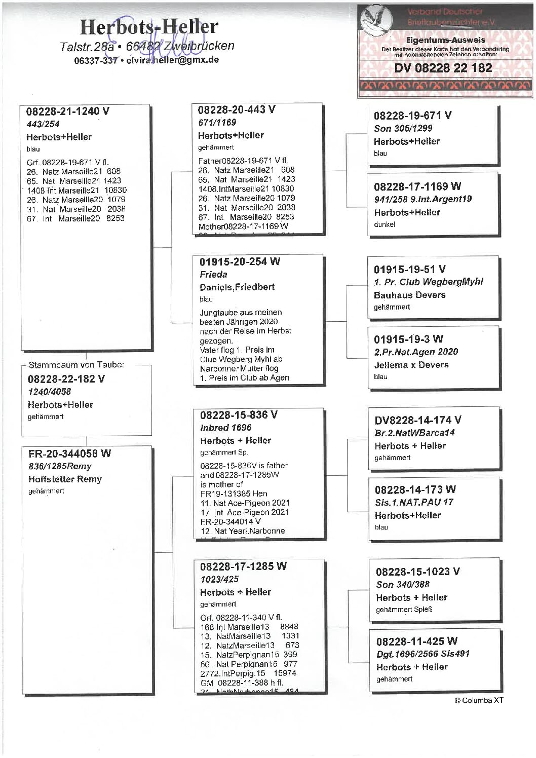 Heller DV08228-22-182 - 画像 (2)