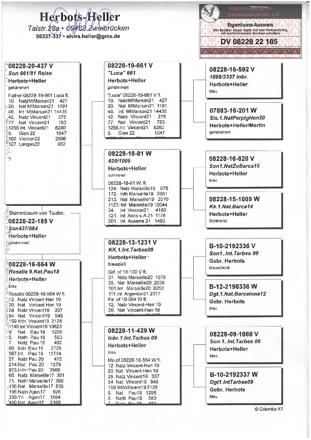 Heller DV08228-22-185 - 画像 (2)