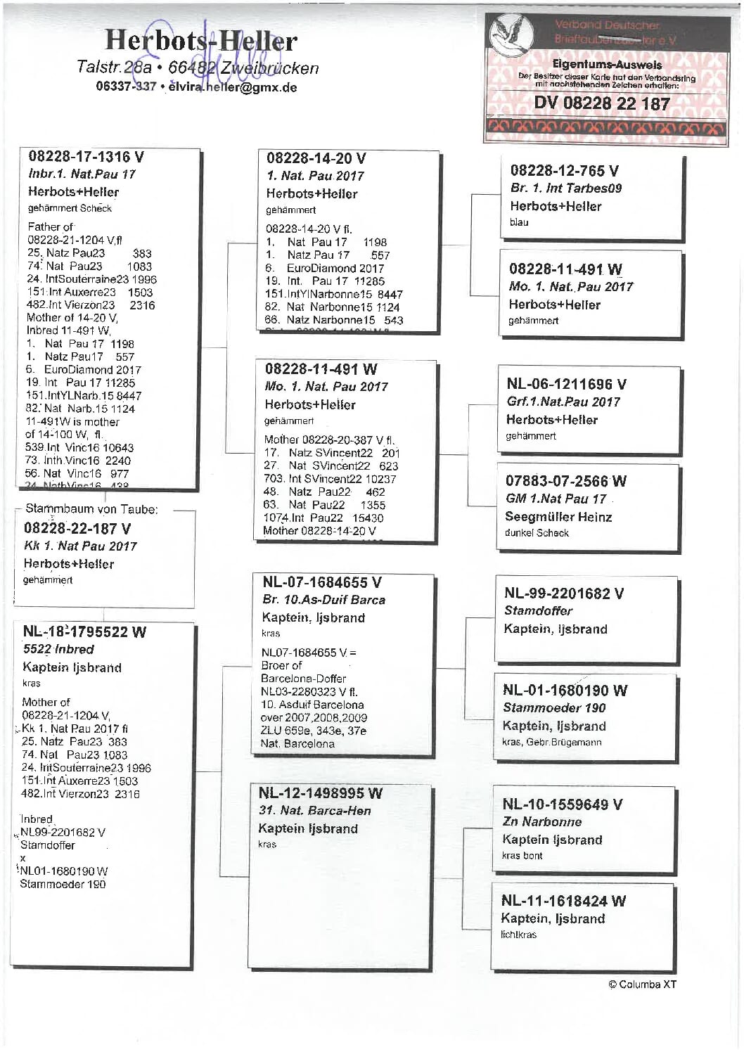 Heller DV08228-22-187 - 画像 (2)