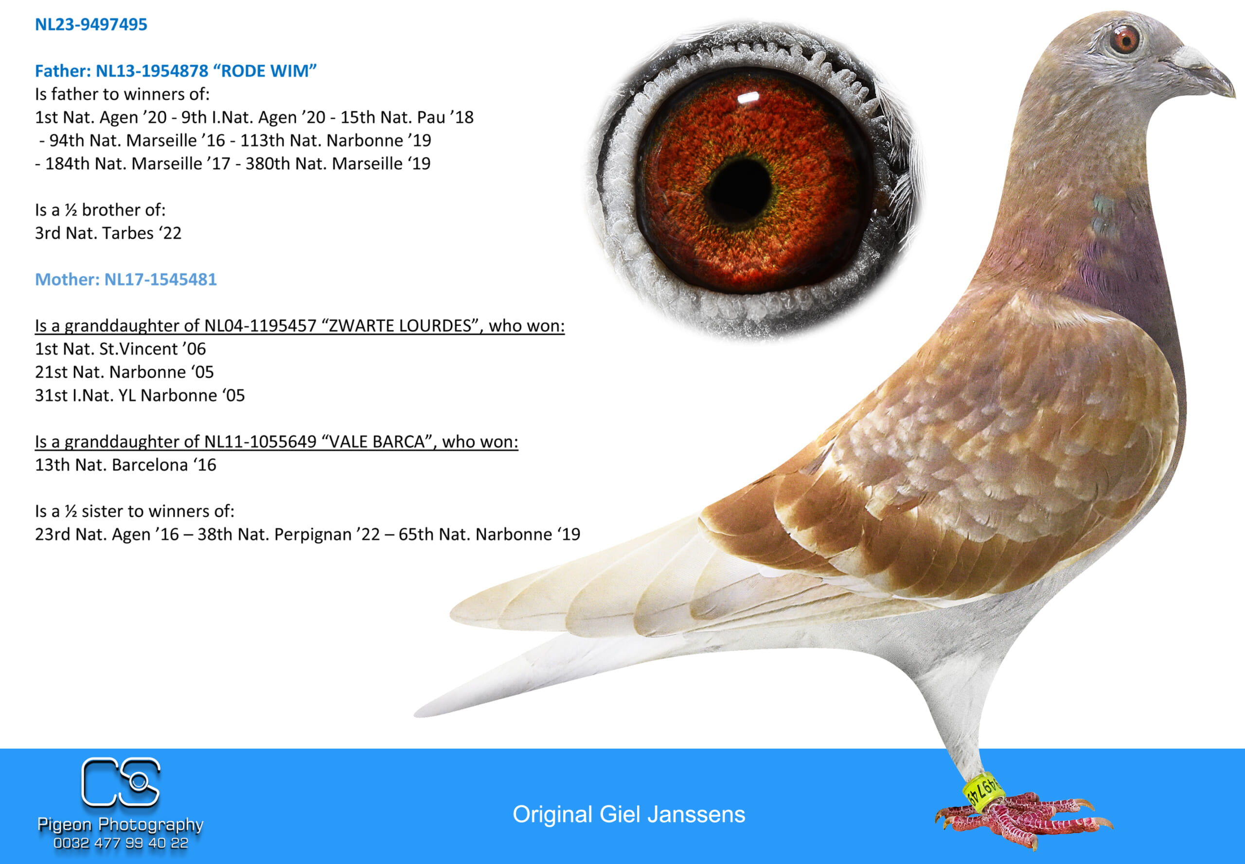 Giel Janssens NL23-9497495 売約