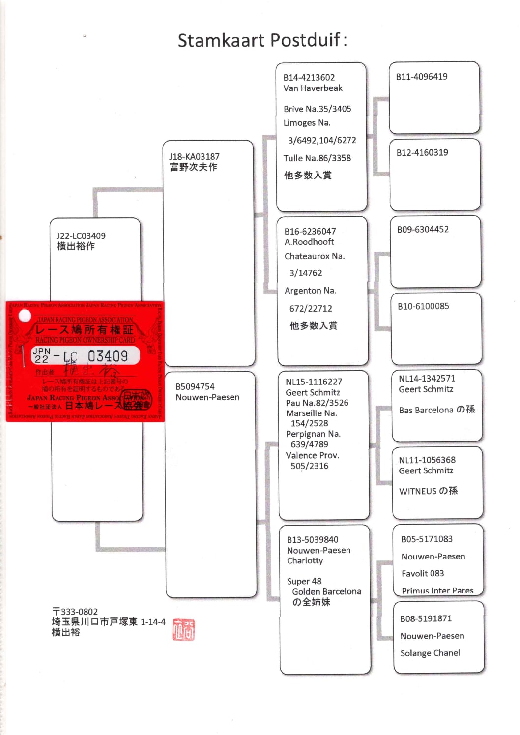 横出鳩 22-LC03409 2階で配合 - 画像 (2)