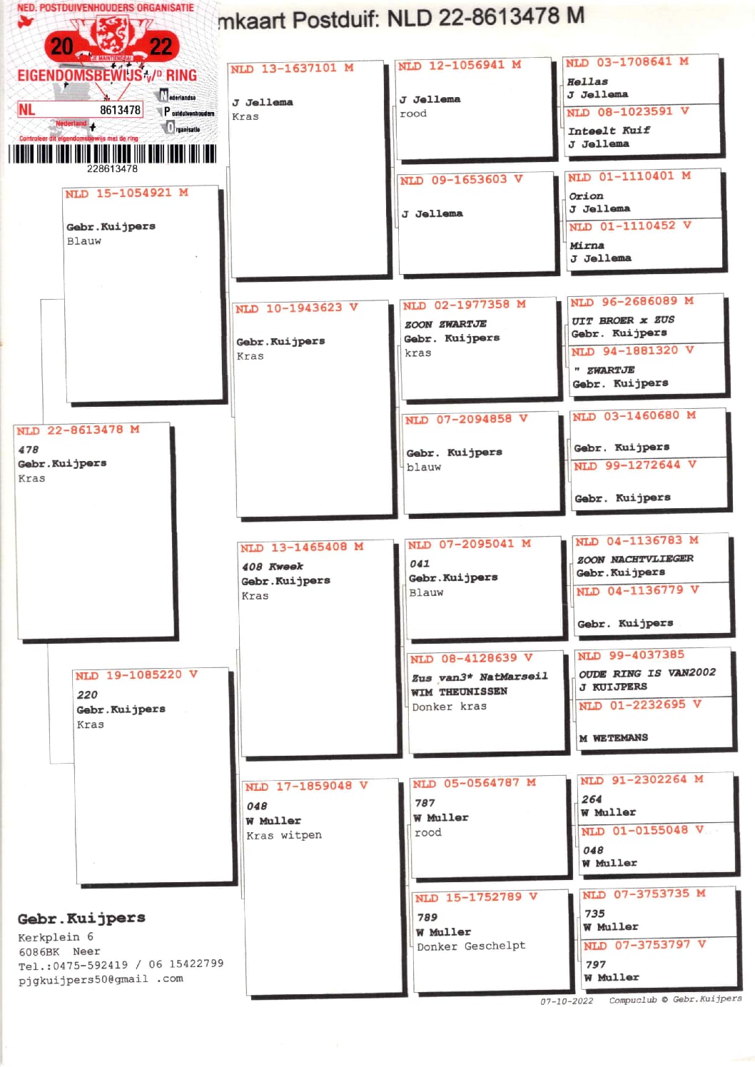 カイパー NL22-8613478 - 画像 (2)