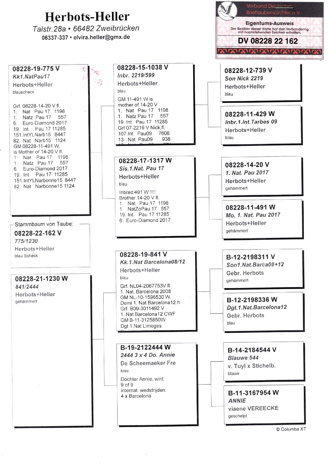 Heller DV08228-22-162 - 画像 (2)