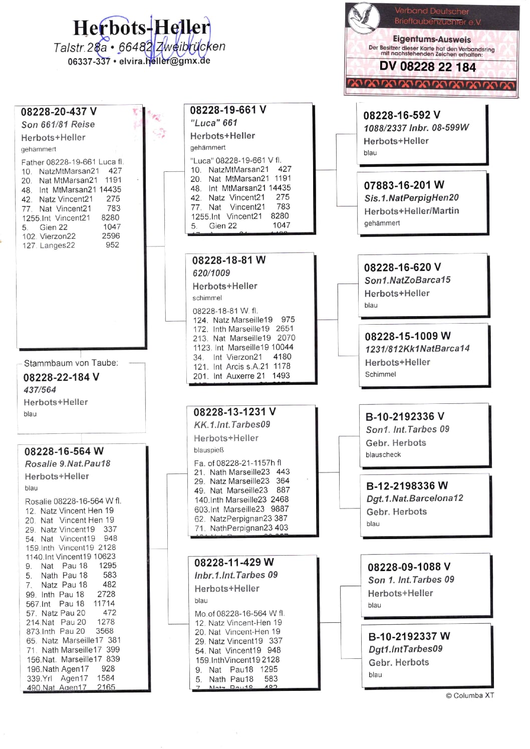Heller DV08228-22-184 - 画像 (2)