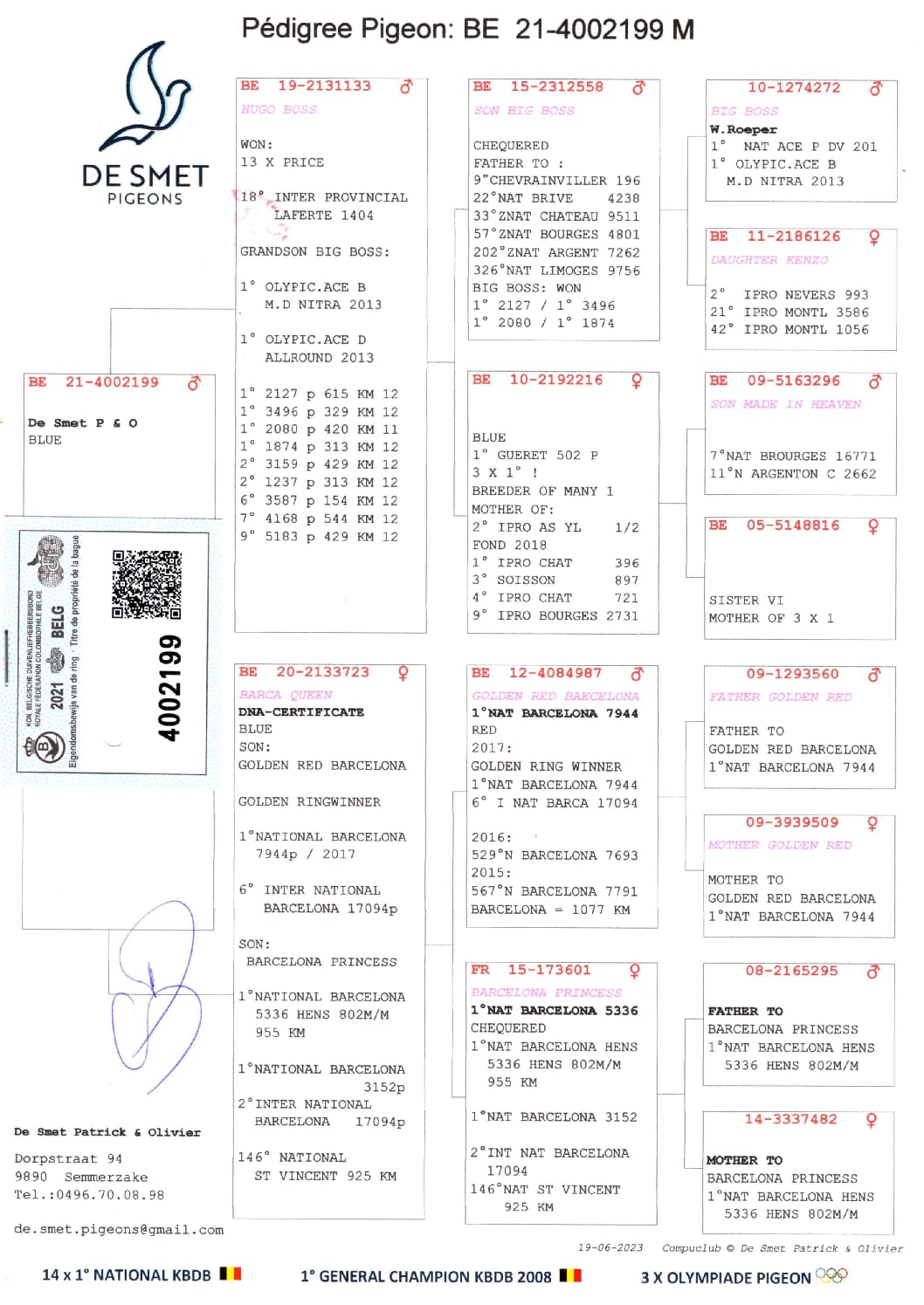 デズメット BE21-4002199 売切れ - 画像 (2)