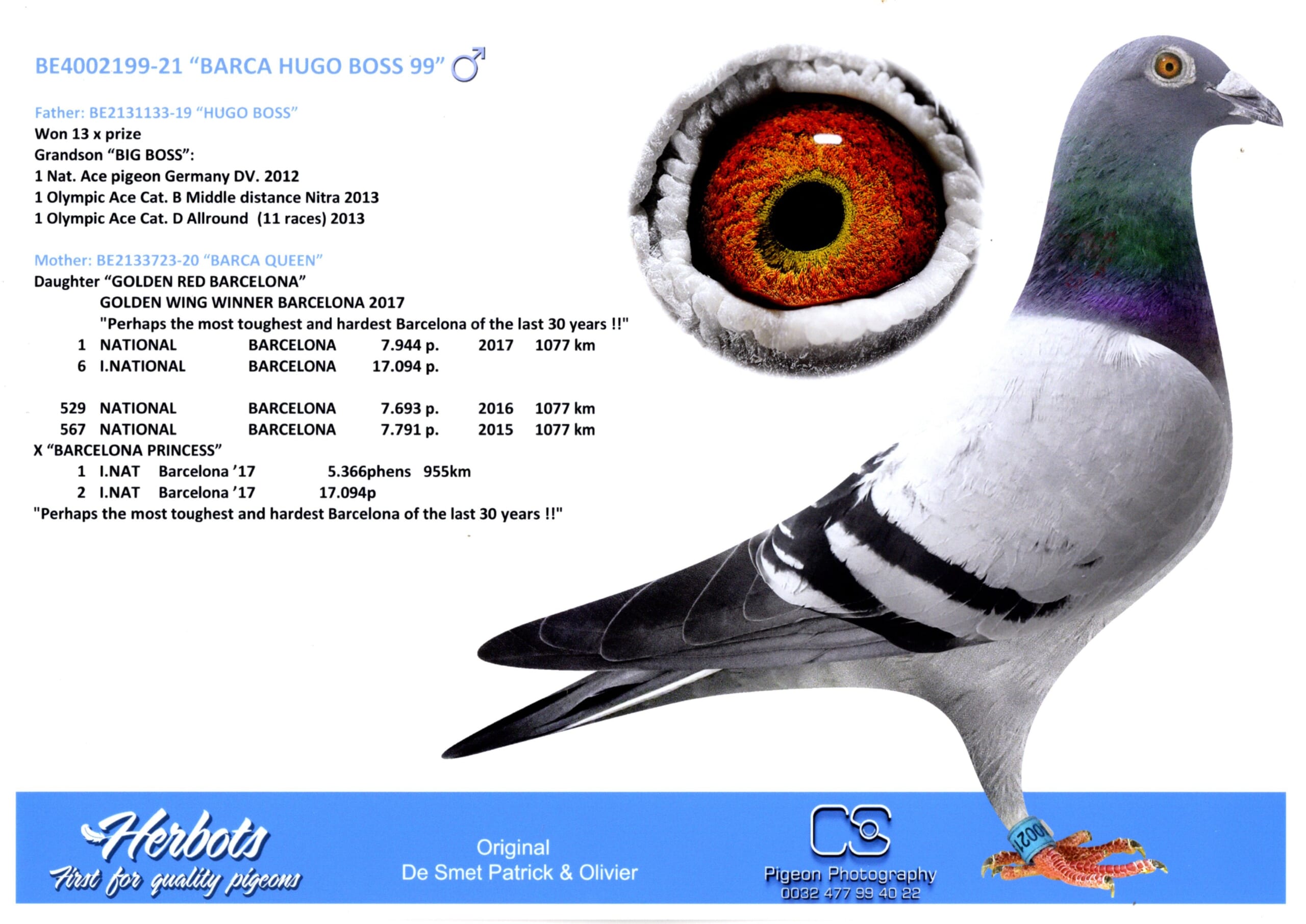 デズメット BE21-4002199 売切れ