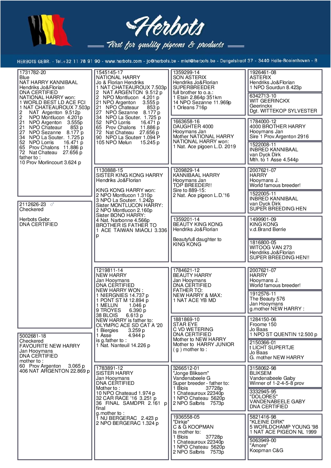 Herbots pigeons 23-2112626 売切れ - 画像 (2)