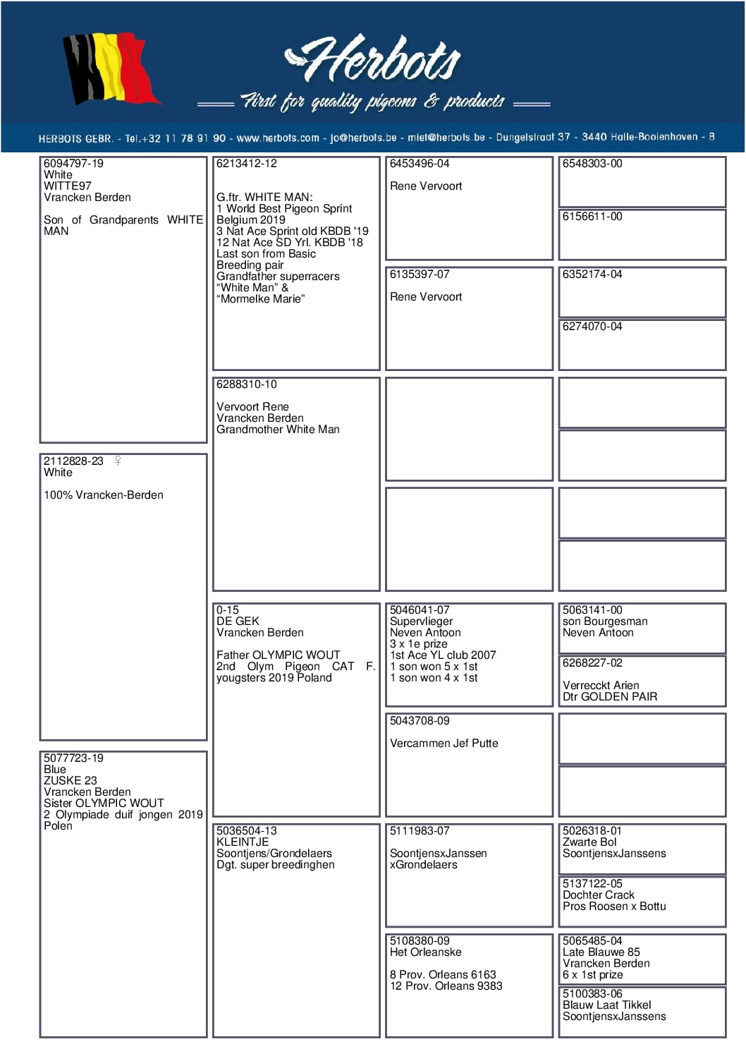 ヴランケン・ベルデン 23-2112828 - 画像 (2)