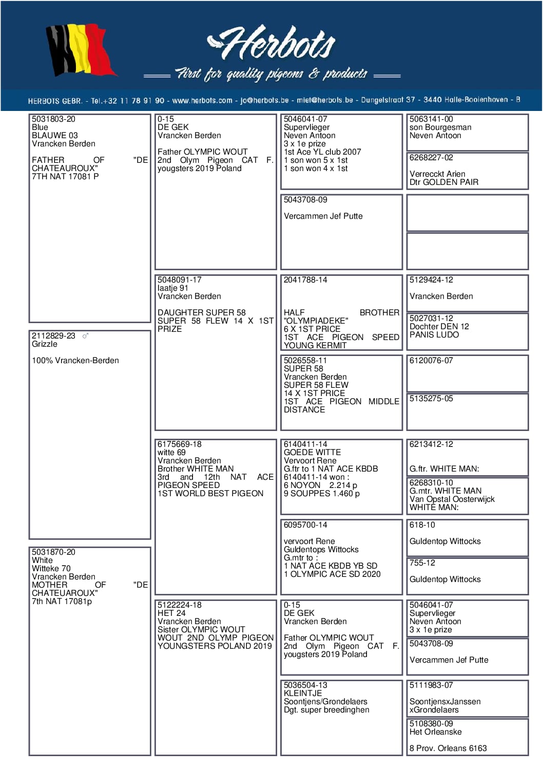 ヴランケン・ベルデン 23-2112829 売切れ - 画像 (2)